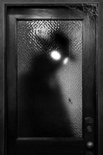 Poster for the TV series "Spider-Noir" #1290953