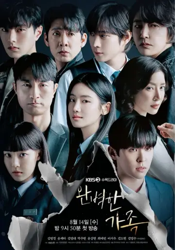 Poster for the TV series "Perfect Family" #1492946