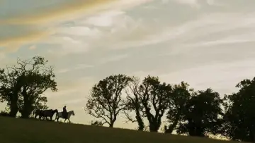 Backdrop for the TV series "A Knight of the Seven Kingdoms" #1301328