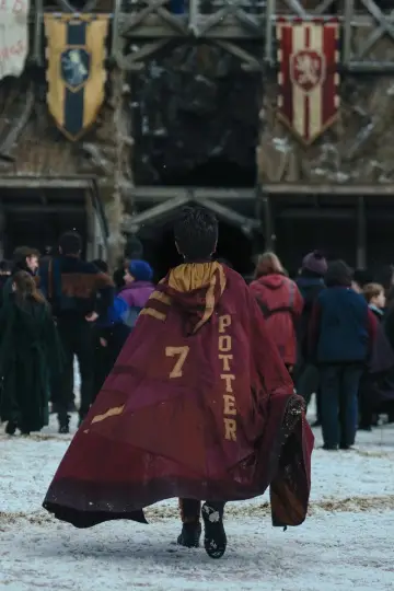 Poster for the TV series "Harry Potter" #1450245