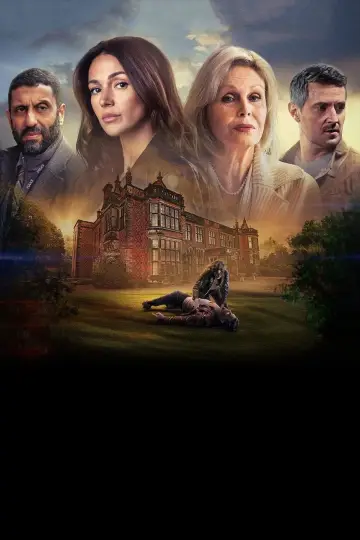 Poster for the TV series "Fool Me Once" #1378533