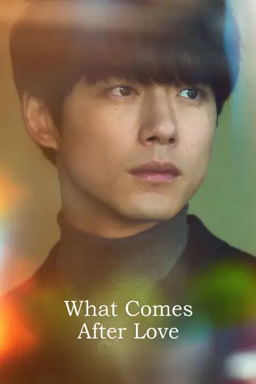 Poster for the TV series "What Comes After Love" #1494676
