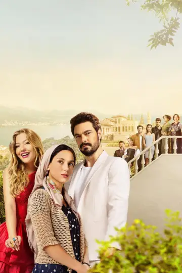 Poster for the TV series "Dirty Laundry" #1501933