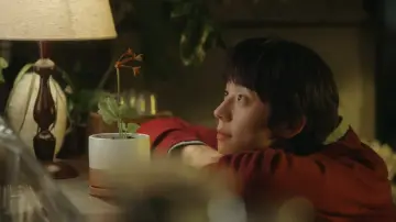 Backdrop к сериалу "In Your Radiant Season" #1478692