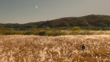 Backdrop к сериалу "In Your Radiant Season" #1478704