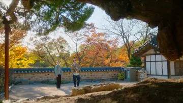 Backdrop к сериалу "In Your Radiant Season" #1478709