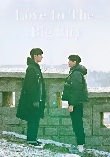 Poster for the TV series "Love In The Big City" #1472999
