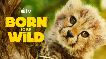 Backdrop for the TV series "Born to Be Wild" #1503635