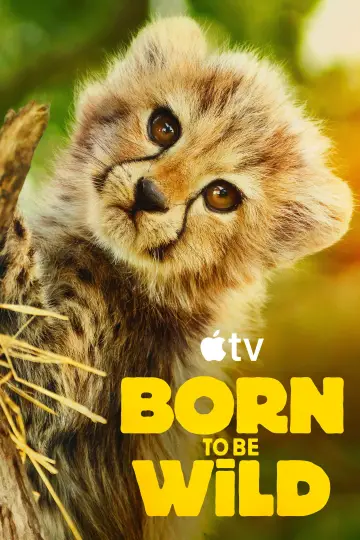 Poster for the TV series "Born to Be Wild" #1503654