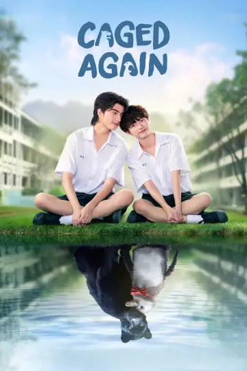 Poster for the TV series "Caged Again" #1606300