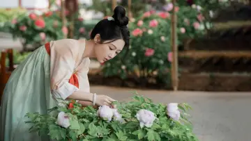 Backdrop for the TV series "Flourished Peony" #1473264