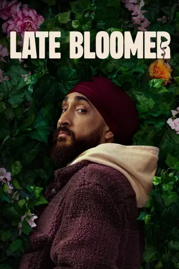 Poster for the TV series "Late Bloomer" #1477707