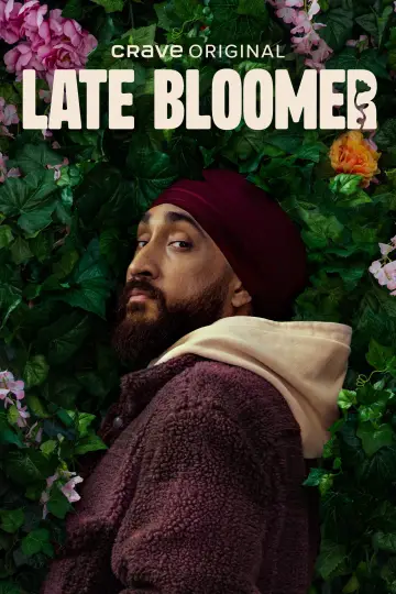 Poster for the TV series "Late Bloomer" #1477708