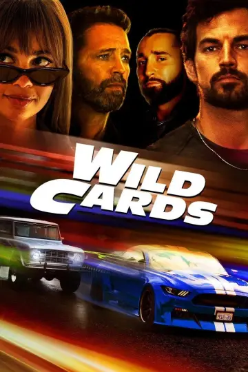 Poster for the TV series "Wild Cards" #1355534