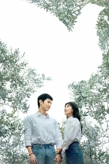 Poster for the TV series "The White Olive Tree" #1441075