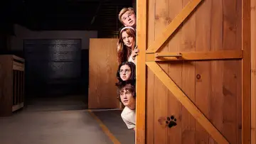 Backdrop for the TV series "Scooby-Doo: Origins" #1493402