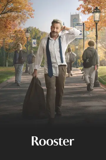 Poster for the TV series "Rooster" #1399793