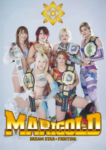 Poster for the TV series "Dream Star★Fighting Marigold" #1223714