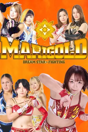 Poster for the TV series "Dream Star★Fighting Marigold" #1223717