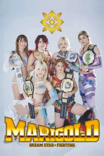 Poster for the TV series "Dream Star★Fighting Marigold" #1223718