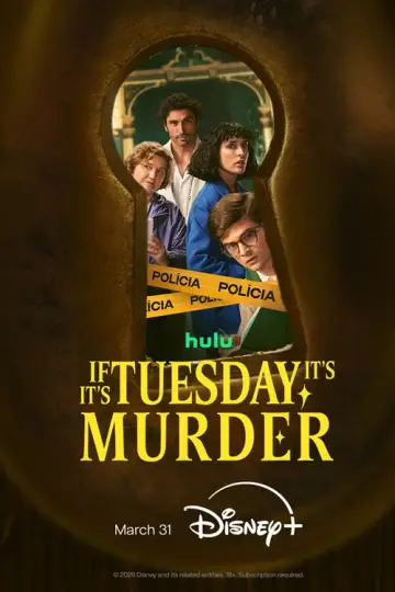 Poster for the TV series "If It