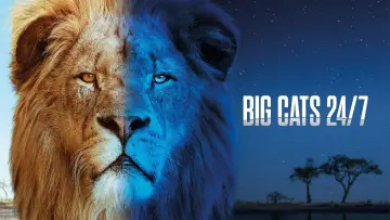 Backdrop for the TV series "Big Cats 24/7" #1491421