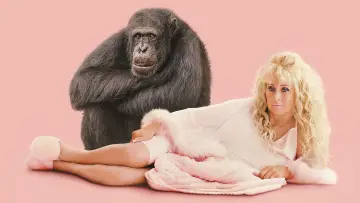 Backdrop for the TV series "Chimp Crazy" #1557095
