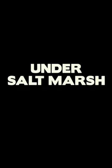 Poster for the TV series "Under Salt Marsh" #1445335