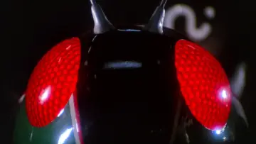 Backdrop for the TV series "Kamen Rider Black" #1537868
