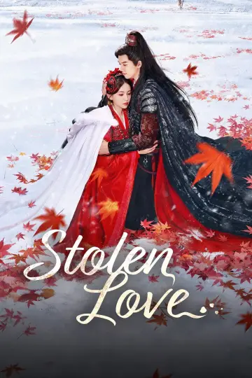 Stolen Love poster