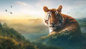 Backdrop к сериалу "Asia" #1479709