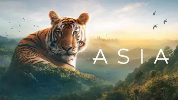 Backdrop к сериалу "Asia" #1479710