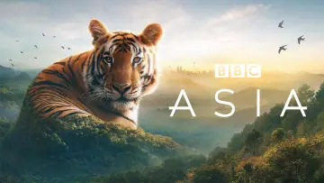 Backdrop к сериалу "Asia" #1479711