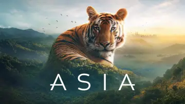 Backdrop к сериалу "Asia" #1479712