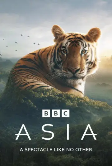Poster к сериалу "Asia" #1479718