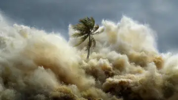 Backdrop for the TV series "Tsunami: Race Against Time" #1495132