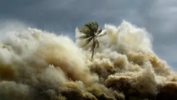 Backdrop for the TV series "Tsunami: Race Against Time" #1495136