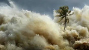Backdrop for the TV series "Tsunami: Race Against Time" #1495137