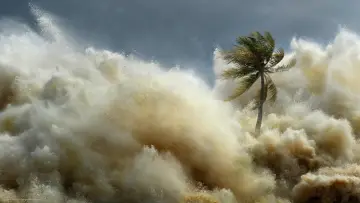 Backdrop for the TV series "Tsunami: Race Against Time" #1495139