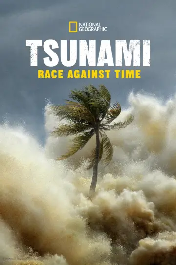 Poster for the TV series "Tsunami: Race Against Time" #1495149