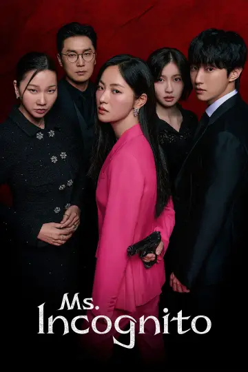 Poster for the TV series "Ms. Incognito" #1491628