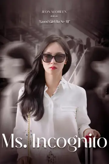 Poster for the TV series "Ms. Incognito" #1491629