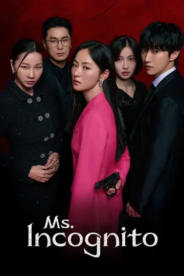Poster for the TV series "Ms. Incognito" #1491632