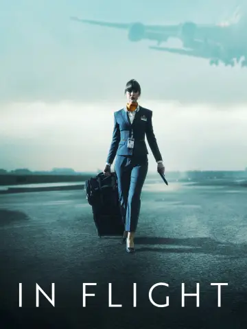 Poster for the TV series "In Flight" #1493586