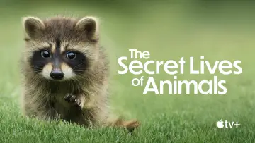 Backdrop for the TV series "The Secret Lives of Animals" #1490866