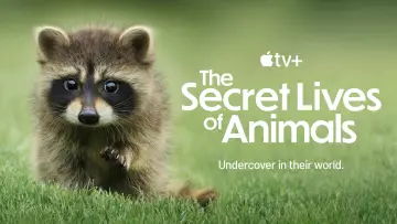 Backdrop for the TV series "The Secret Lives of Animals" #1490867