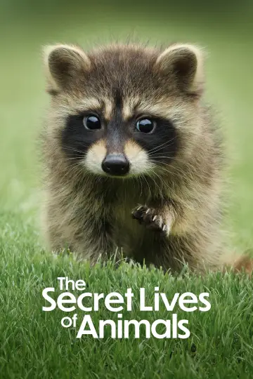 Poster for the TV series "The Secret Lives of Animals" #1490883