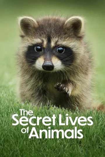 Poster for the TV series "The Secret Lives of Animals" #1490885