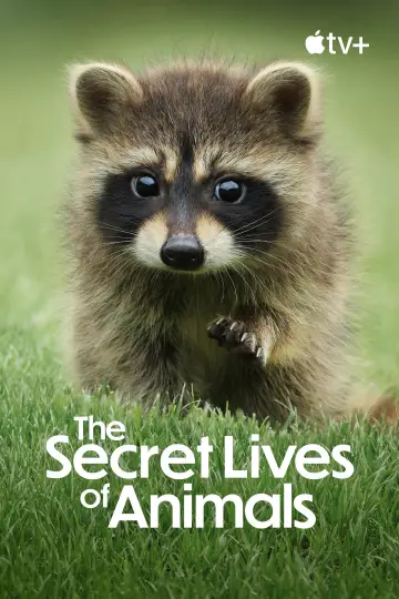 Poster for the TV series "The Secret Lives of Animals" #1490890