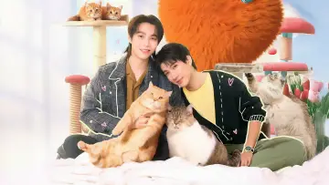 Backdrop for the TV series "Cat for Cash" #1486588